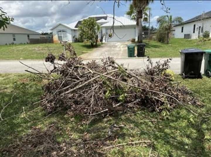 Yard waste and storm debris cleared from a Vero Beach home
